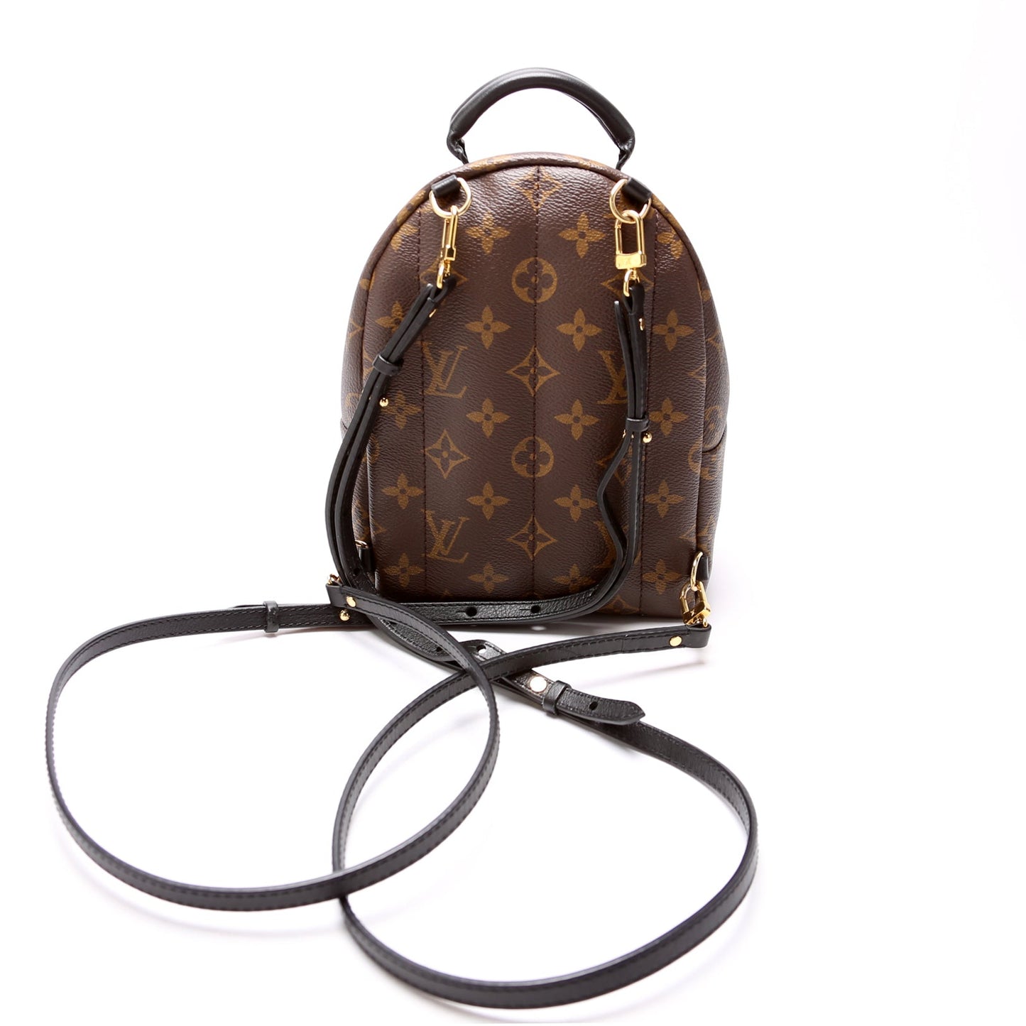 Louis Vuitton Palm Springs Mini Monogram