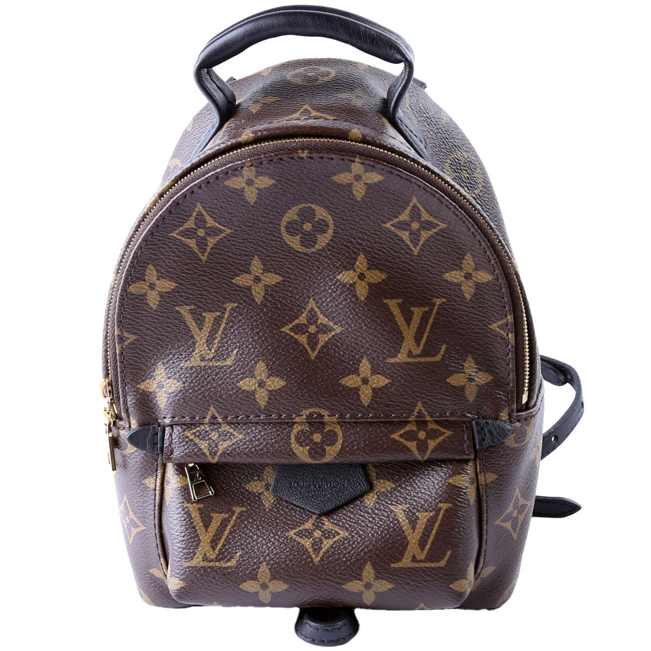 Louis Vuitton Palm Springs Mini Monogram