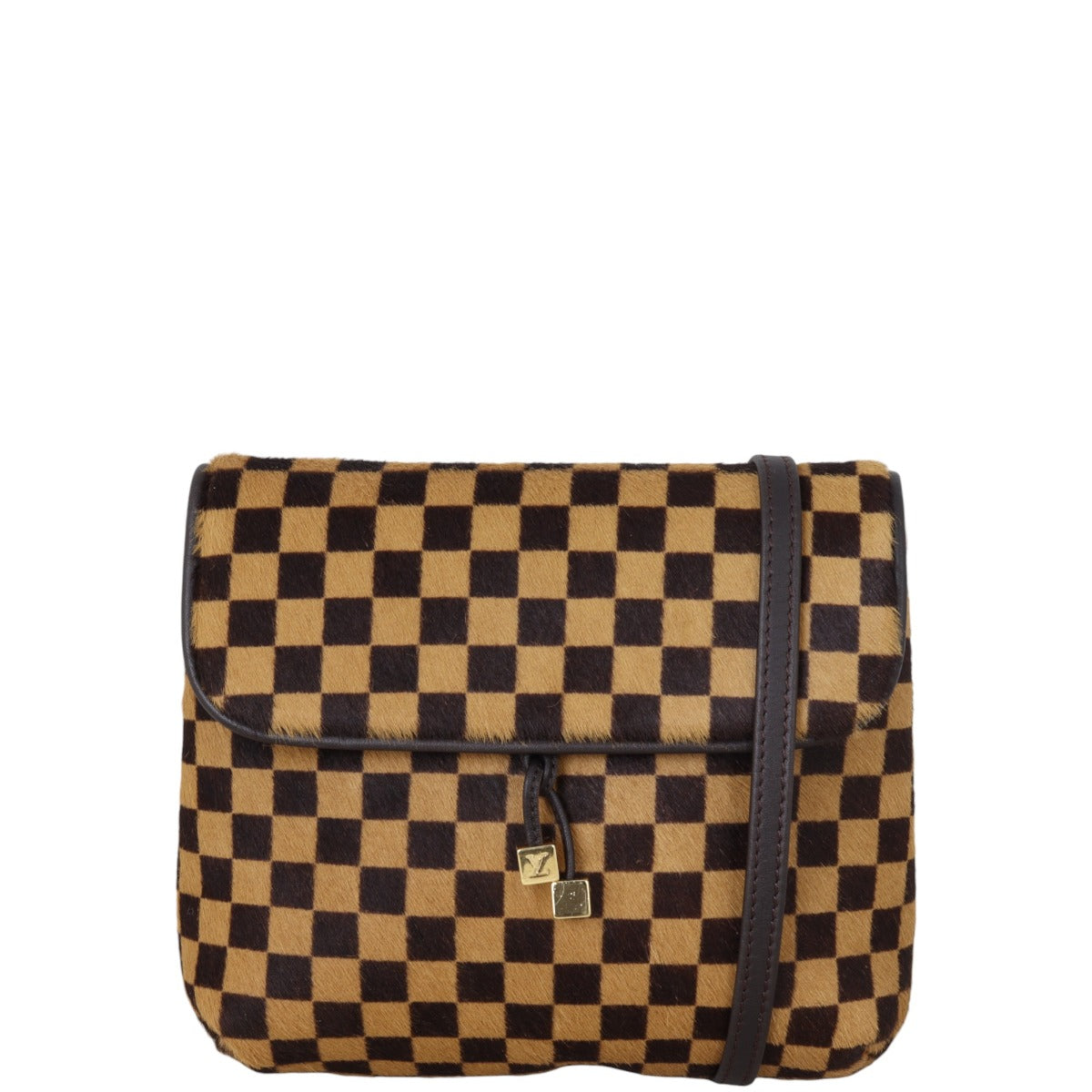 Louis Vuitton Damier Sauvage Gazelle Bag