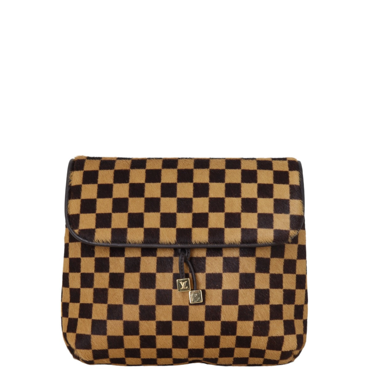 Louis Vuitton Damier Sauvage Gazelle Bag