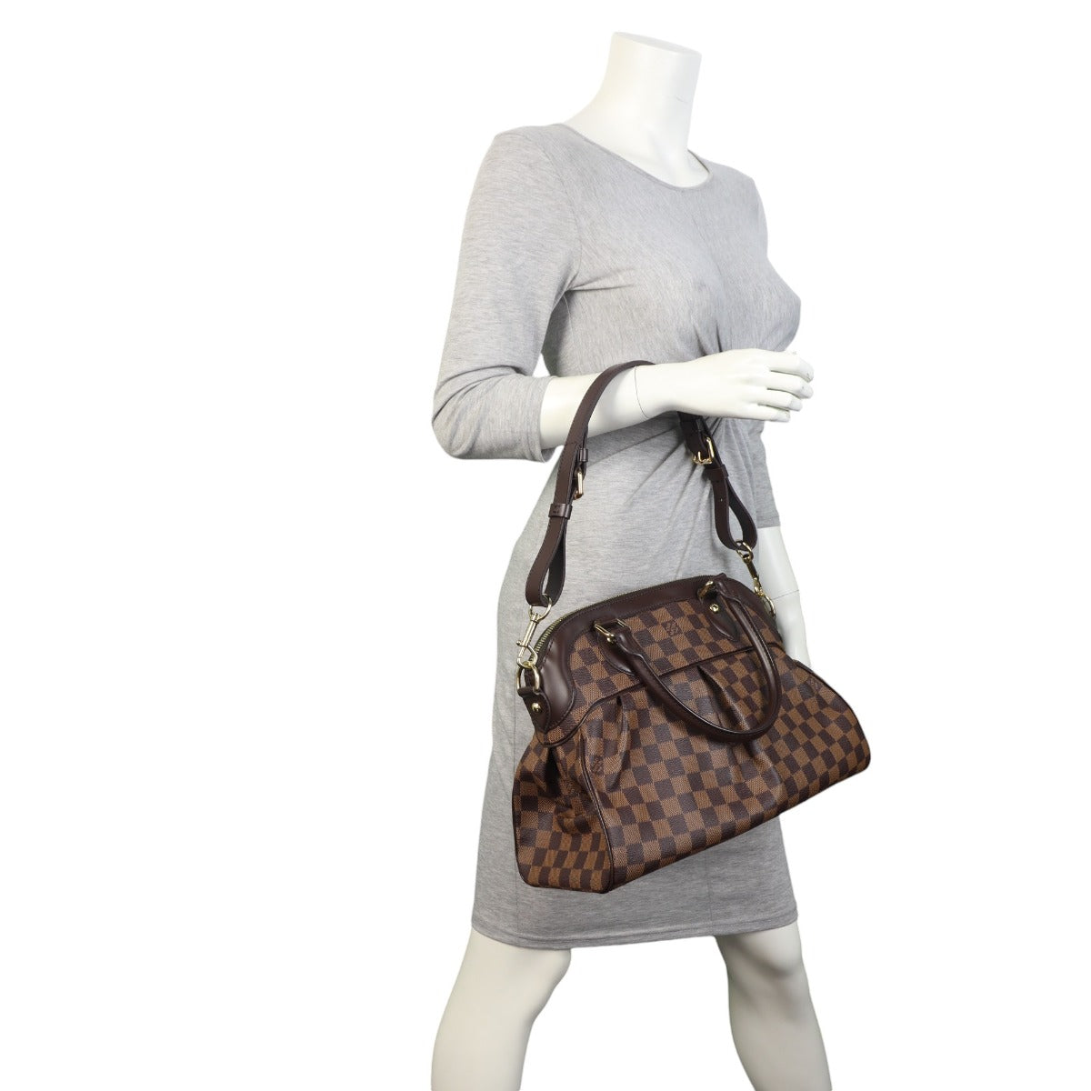 Louis Vuitton Trevi PM Damier Ebene