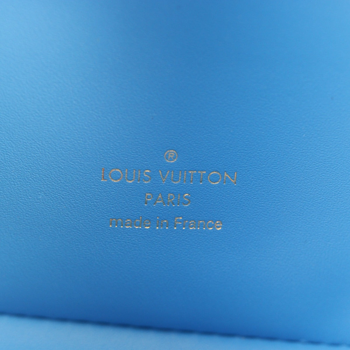 Louis Vuitton x Jeff Koons Rubens Pochette Painted Canvas