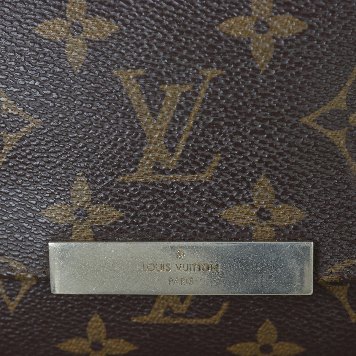 Louis Vuitton Favorite MM Monogram