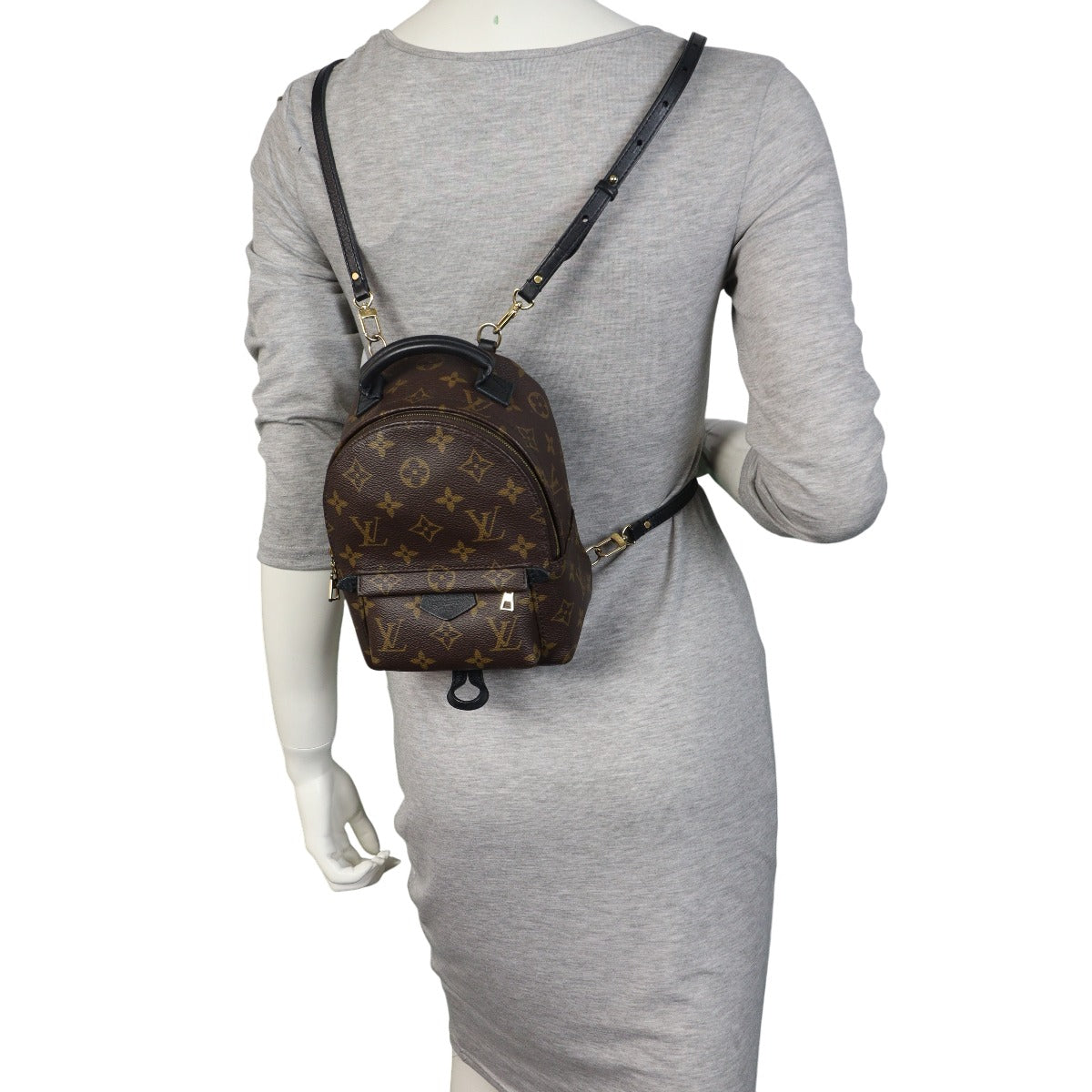 Louis Vuitton Palm Springs Mini Backpack Monogram