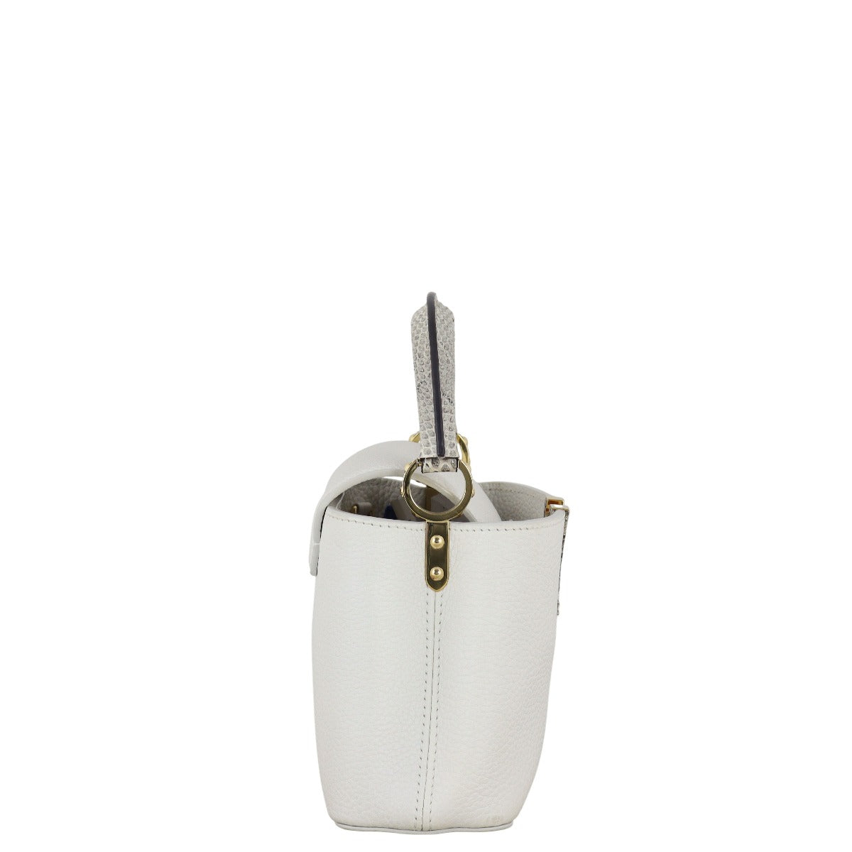 Louis Vuitton Capucines Mini Snake