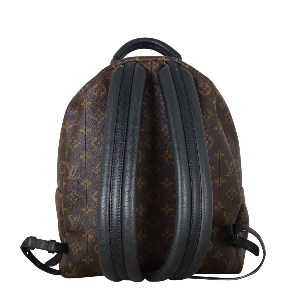Louis Vuitton Palm Springs Backpack MM Monogram