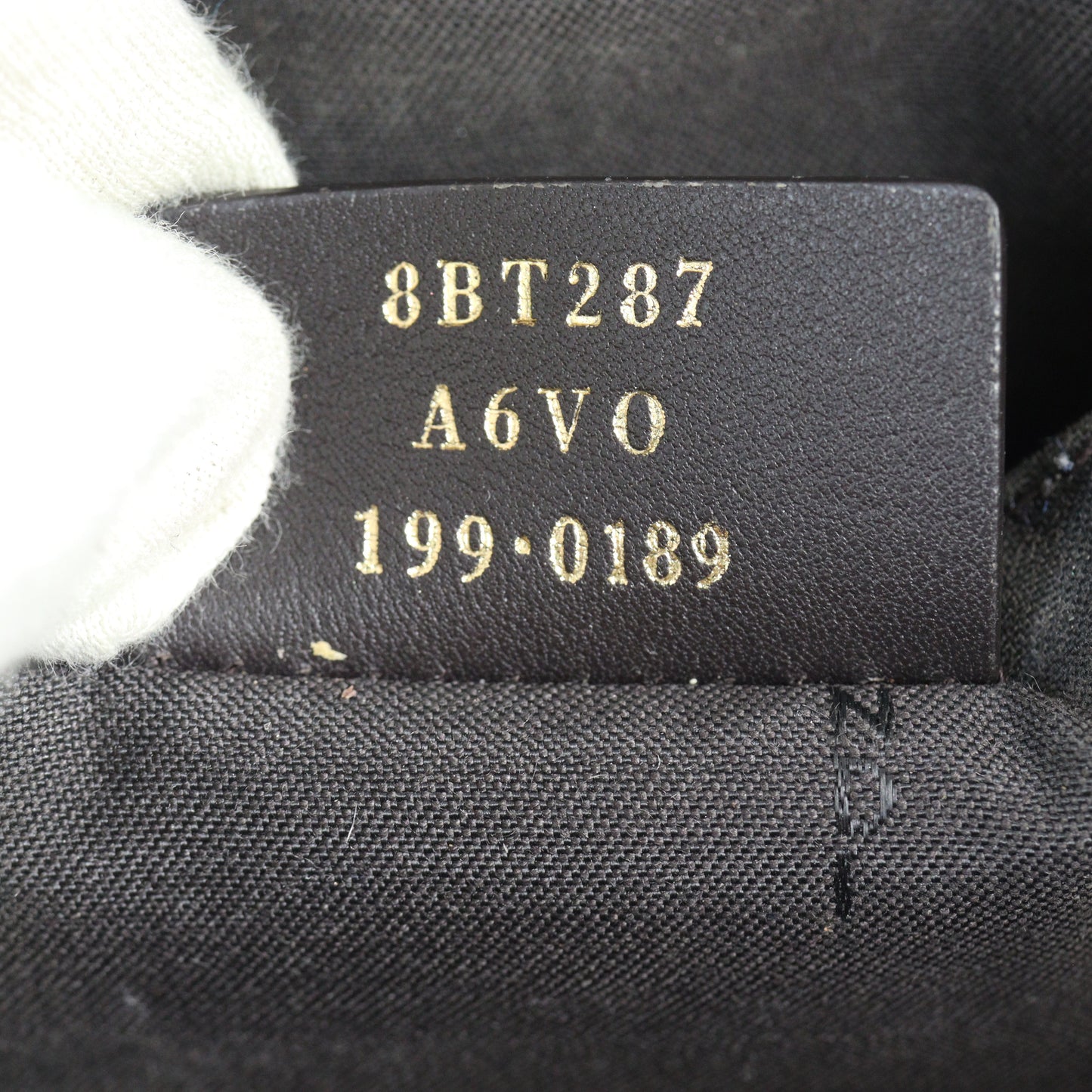 Fendi FF 1974 Camera Bag