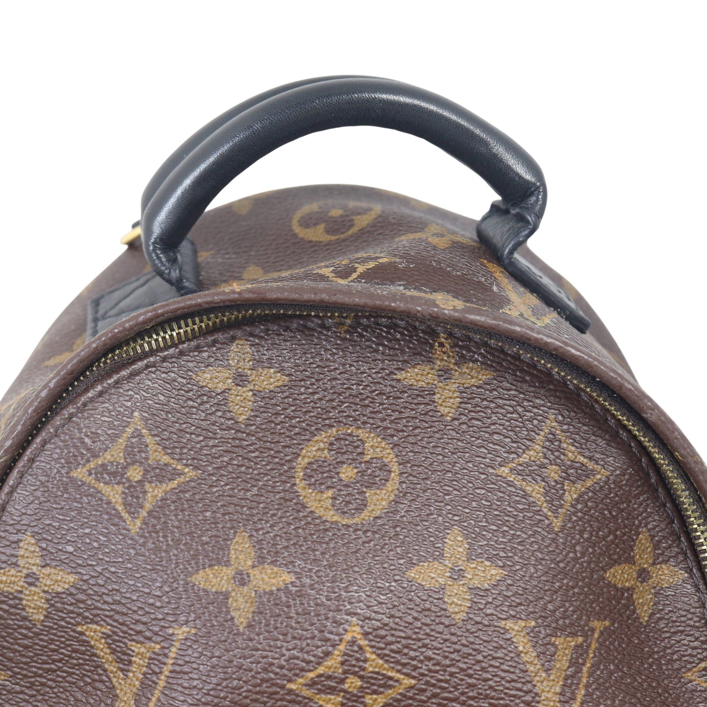 Louis Vuitton Palm Springs Mini Backpack Monogram
