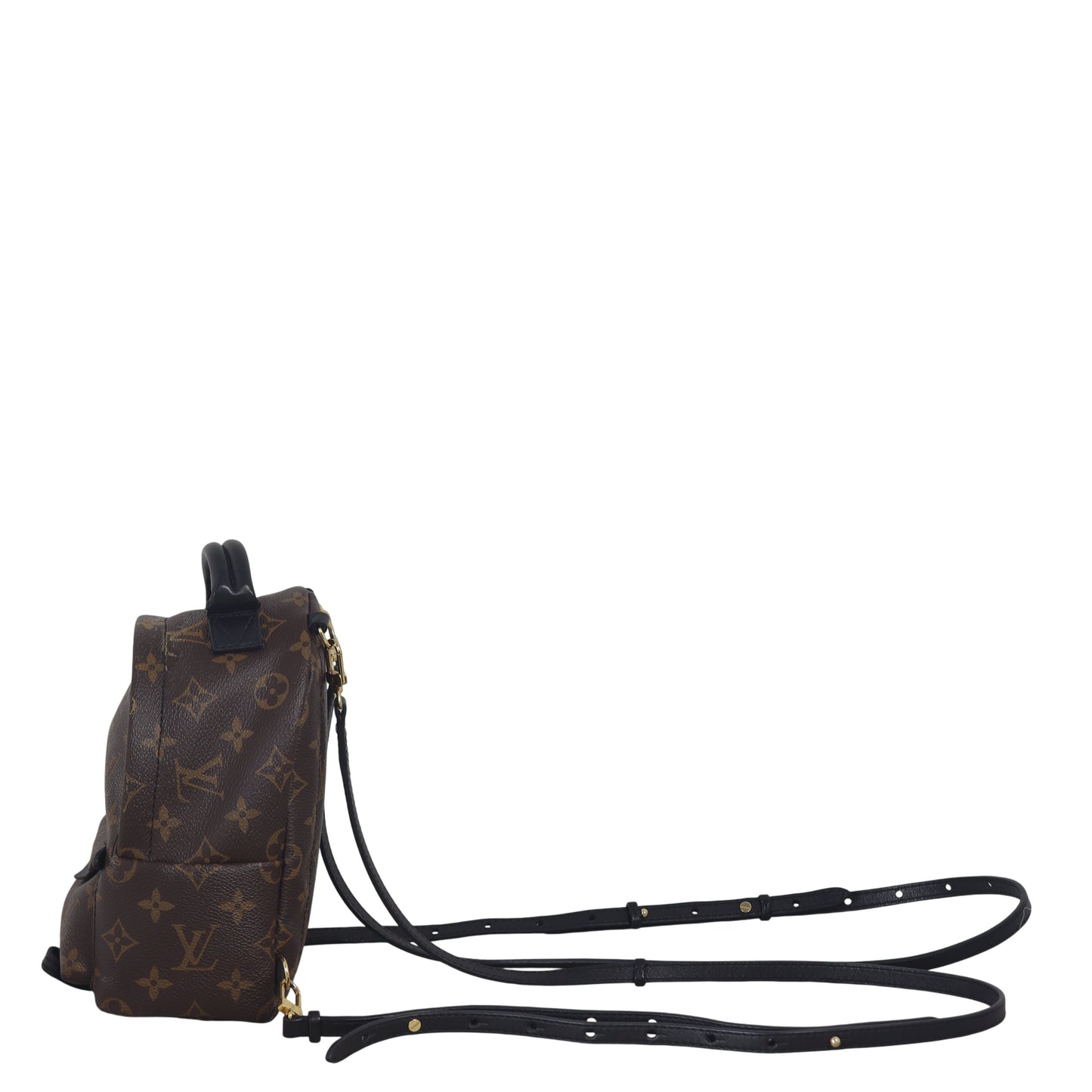 Louis Vuitton Palm Springs Mini Backpack Monogram