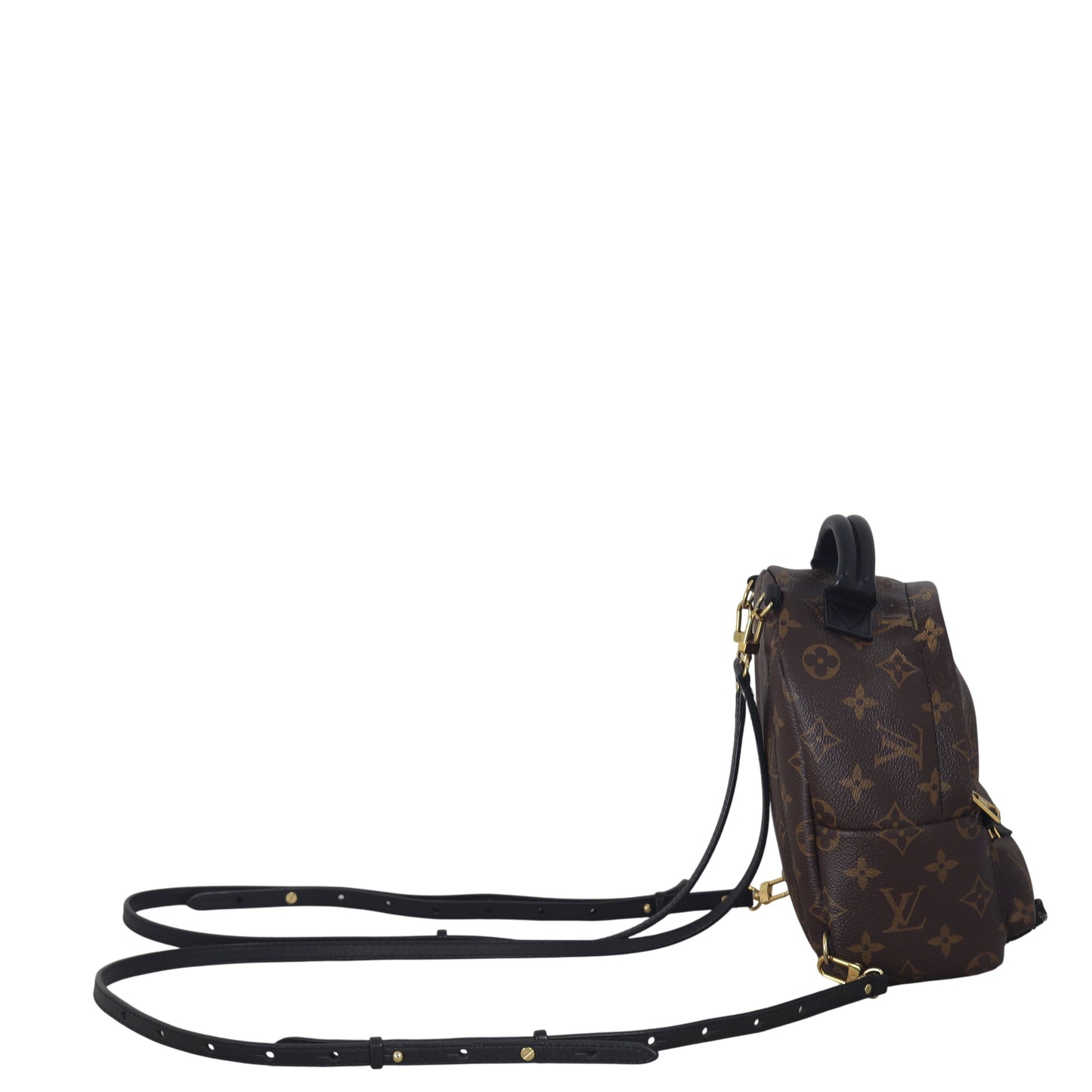Louis Vuitton Palm Springs Mini Backpack Monogram