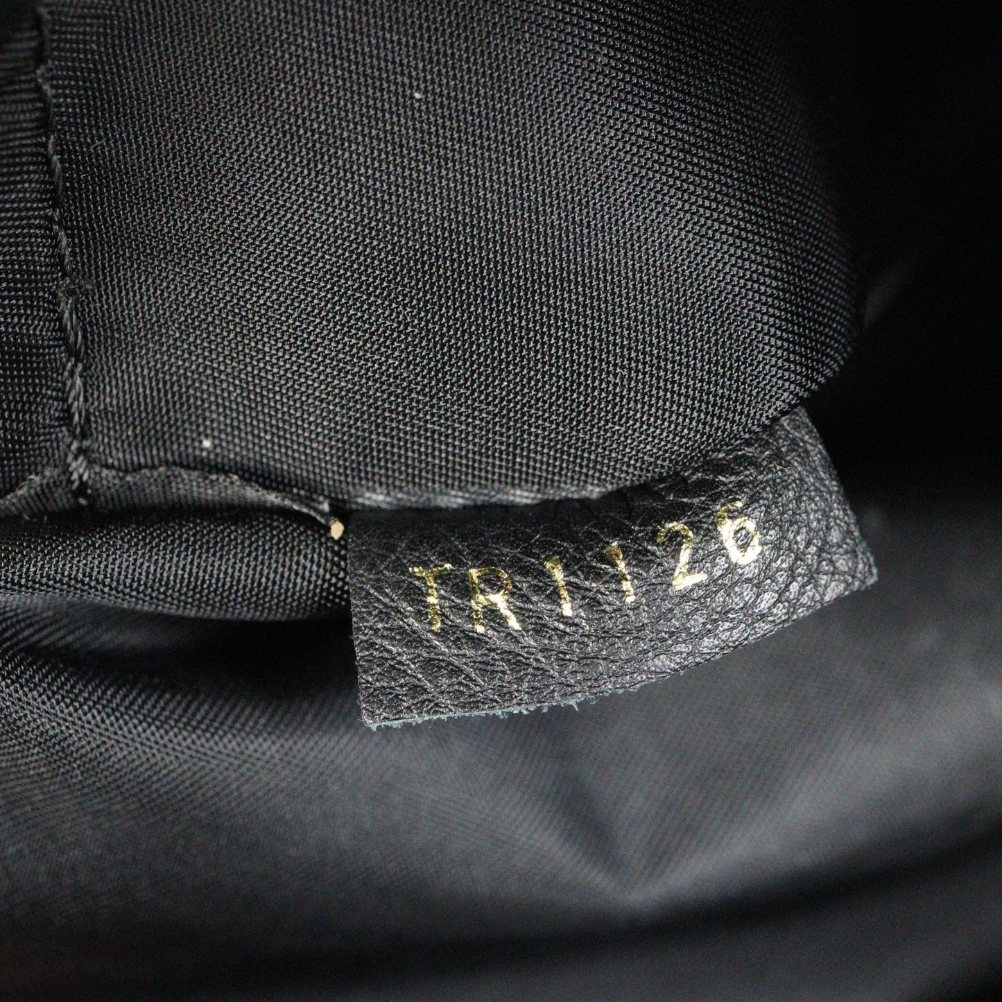 Louis Vuitton Palm Springs Backpack PM Monogram