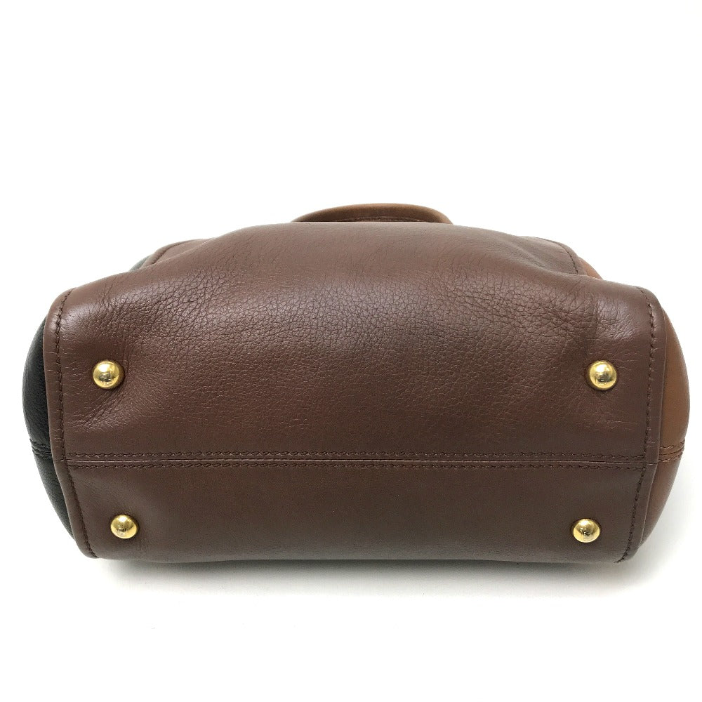 FENDI Handbag 8BL117 leather Brown chameleon Women