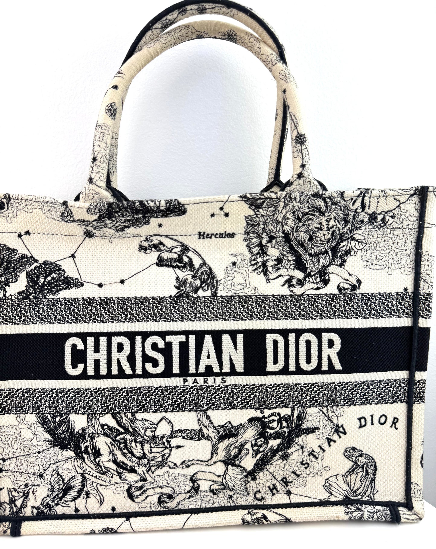 Dior Canvas Embroidered Small Toile De Jouy Book Tote Latte