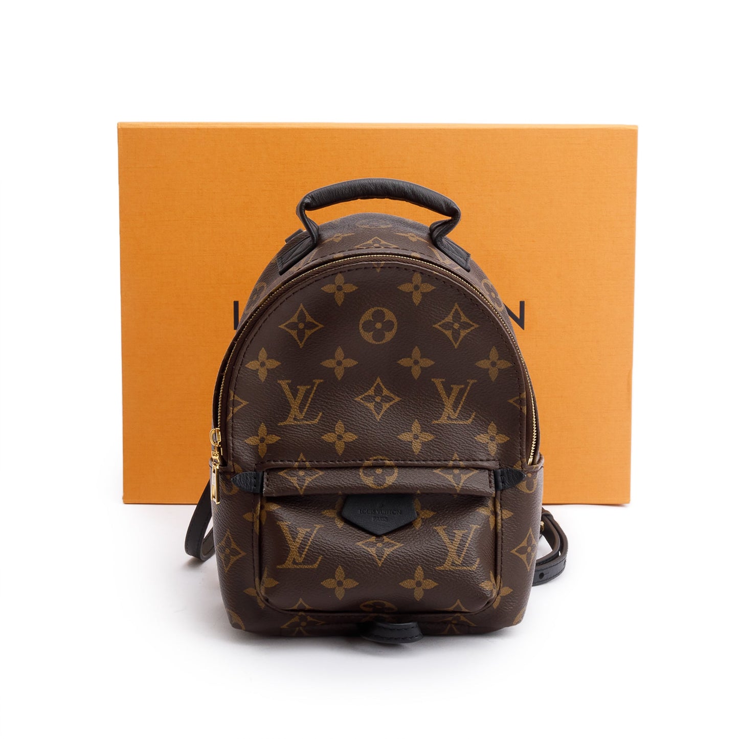 Louis Vuitton 2022 Monogram Palm Springs Mini Backpack
