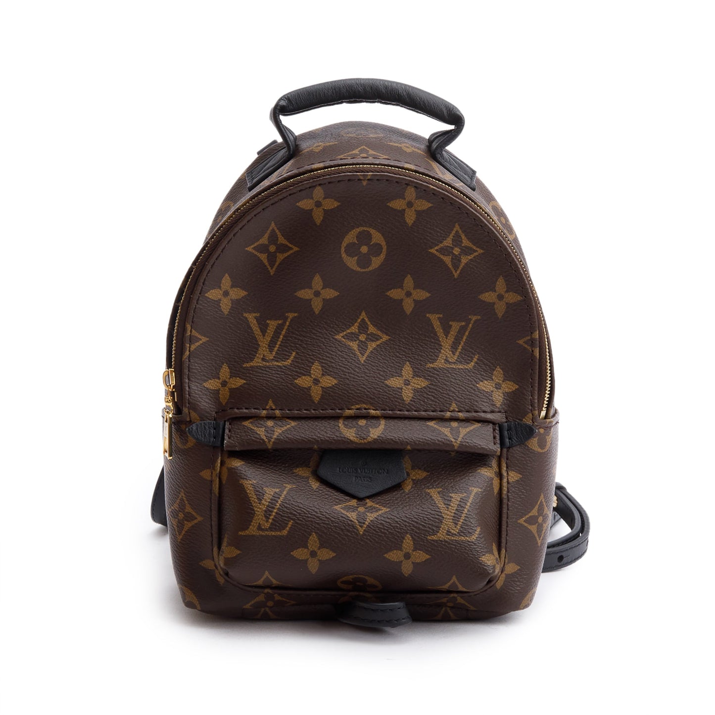 Louis Vuitton 2022 Monogram Palm Springs Mini Backpack
