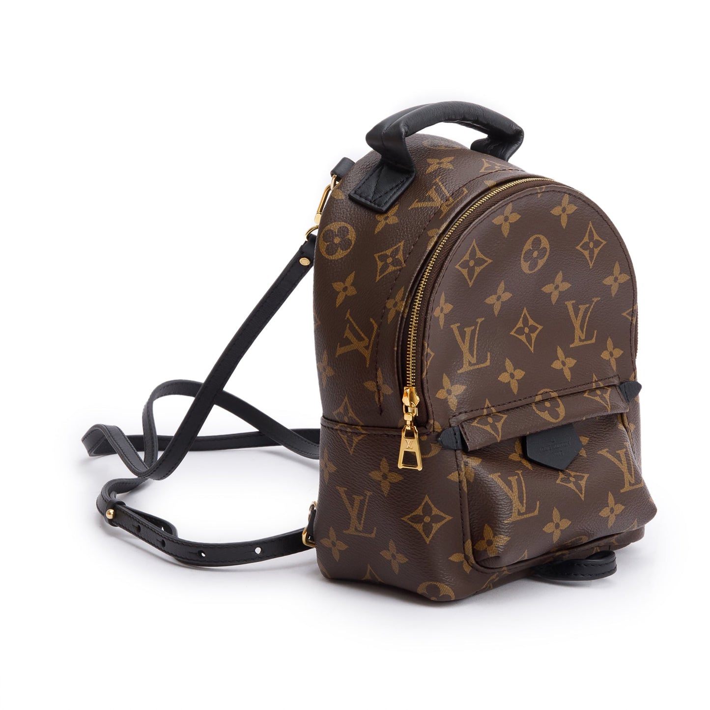 Louis Vuitton 2022 Monogram Palm Springs Mini Backpack