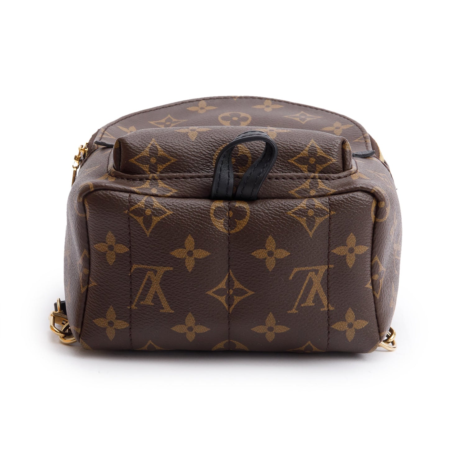 Louis Vuitton 2022 Monogram Palm Springs Mini Backpack