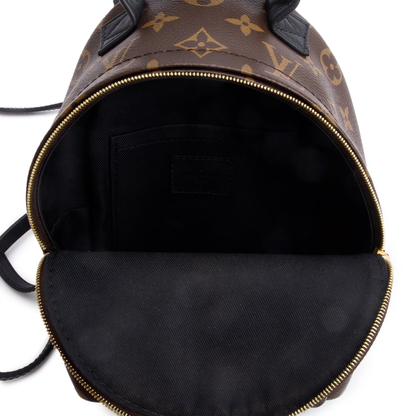 Louis Vuitton 2022 Monogram Palm Springs Mini Backpack