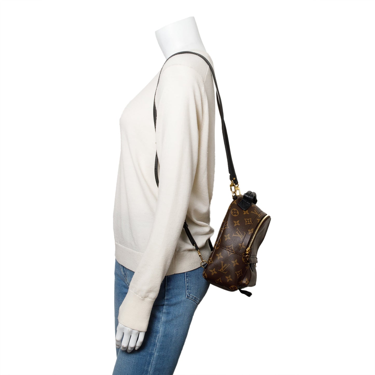 Louis Vuitton 2022 Monogram Palm Springs Mini Backpack