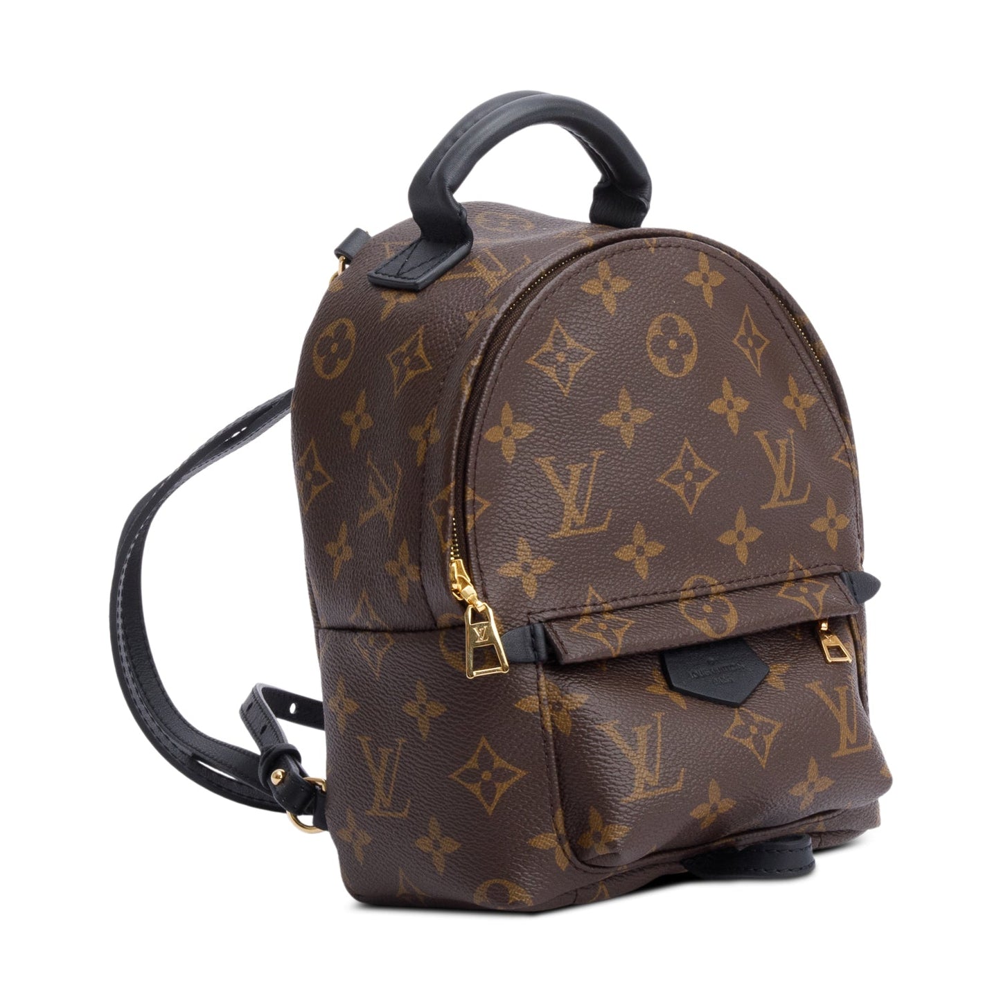 Louis Vuitton Monogram Palm Springs Mini Backpack
