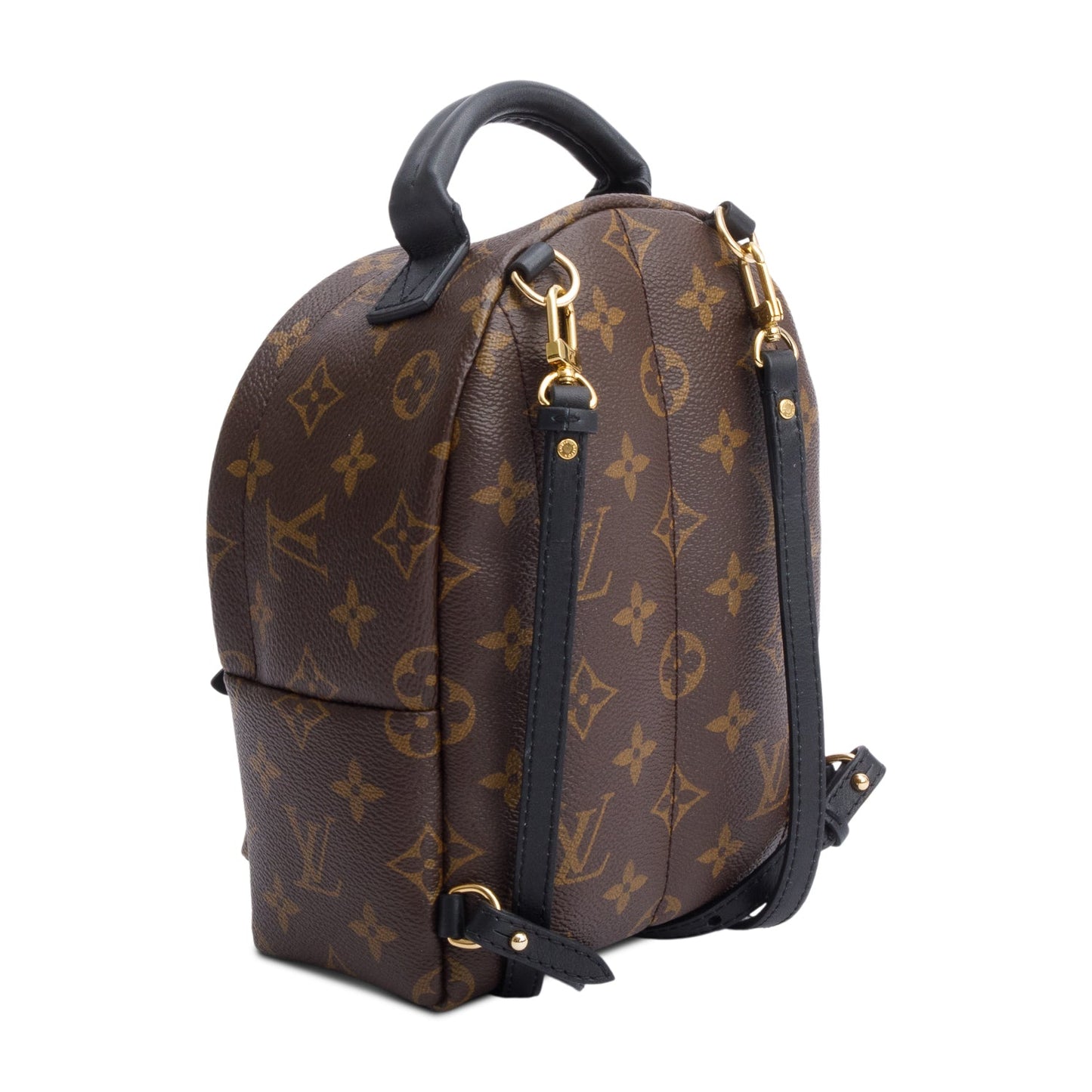 Louis Vuitton Monogram Palm Springs Mini Backpack
