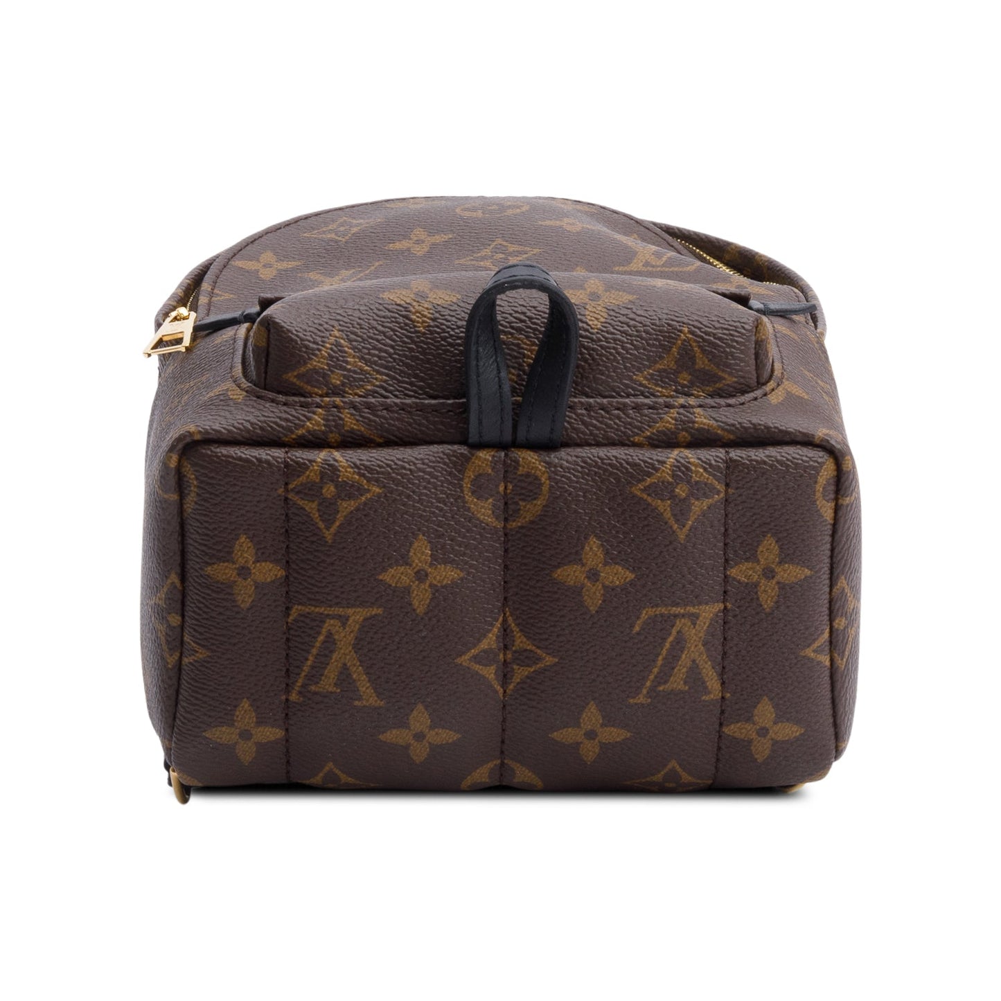 Louis Vuitton Monogram Palm Springs Mini Backpack