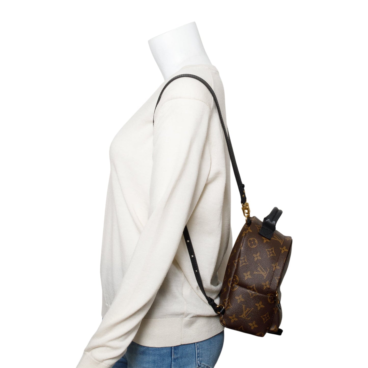 Louis Vuitton Monogram Palm Springs Mini Backpack