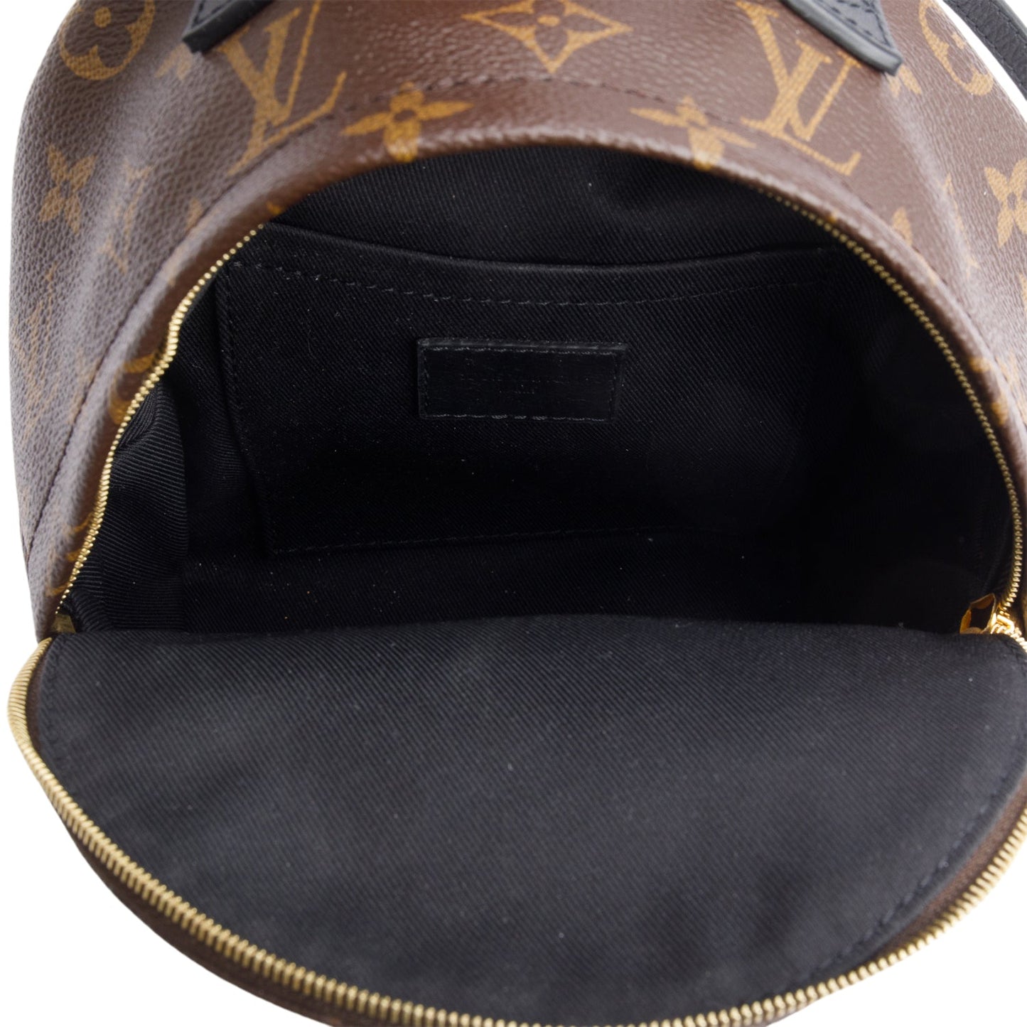 Louis Vuitton Monogram Palm Springs Mini Backpack