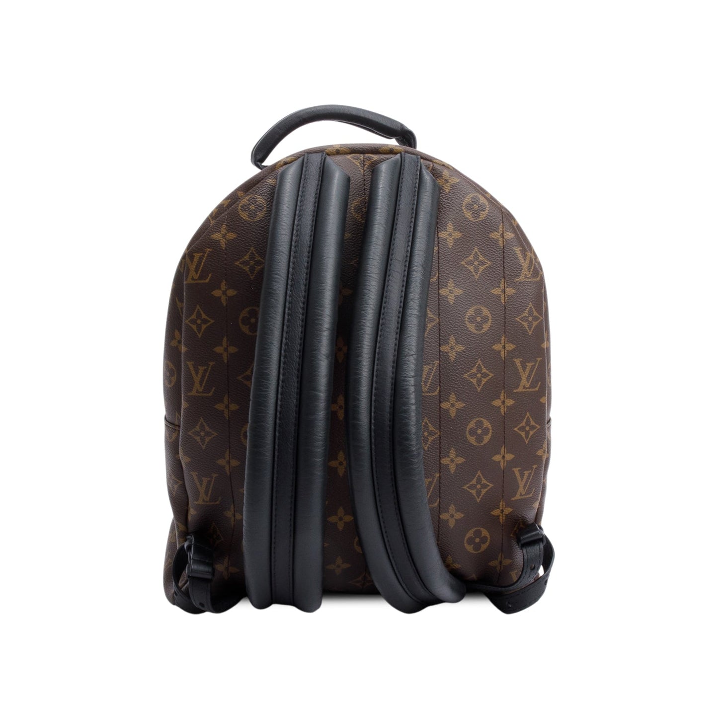 Louis Vuitton Monogram Palm Springs Backpack MM