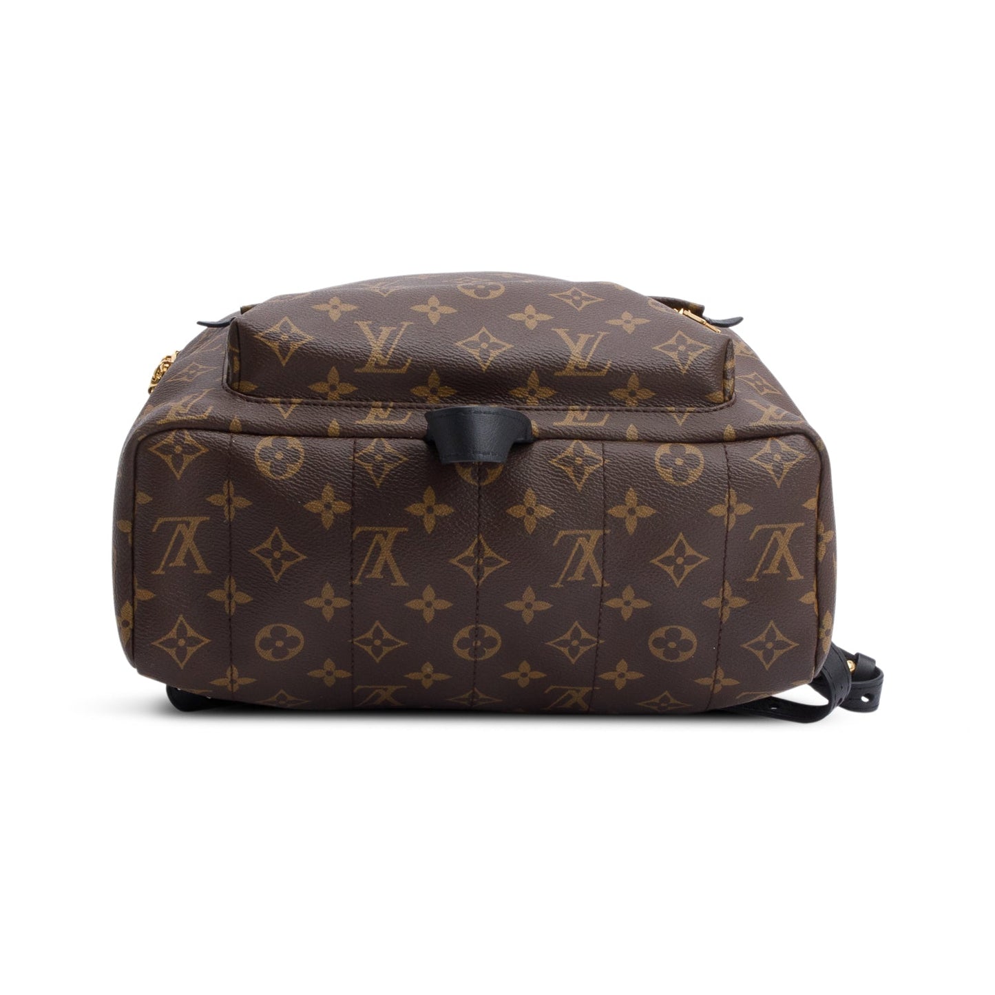 Louis Vuitton Monogram Palm Springs Backpack MM