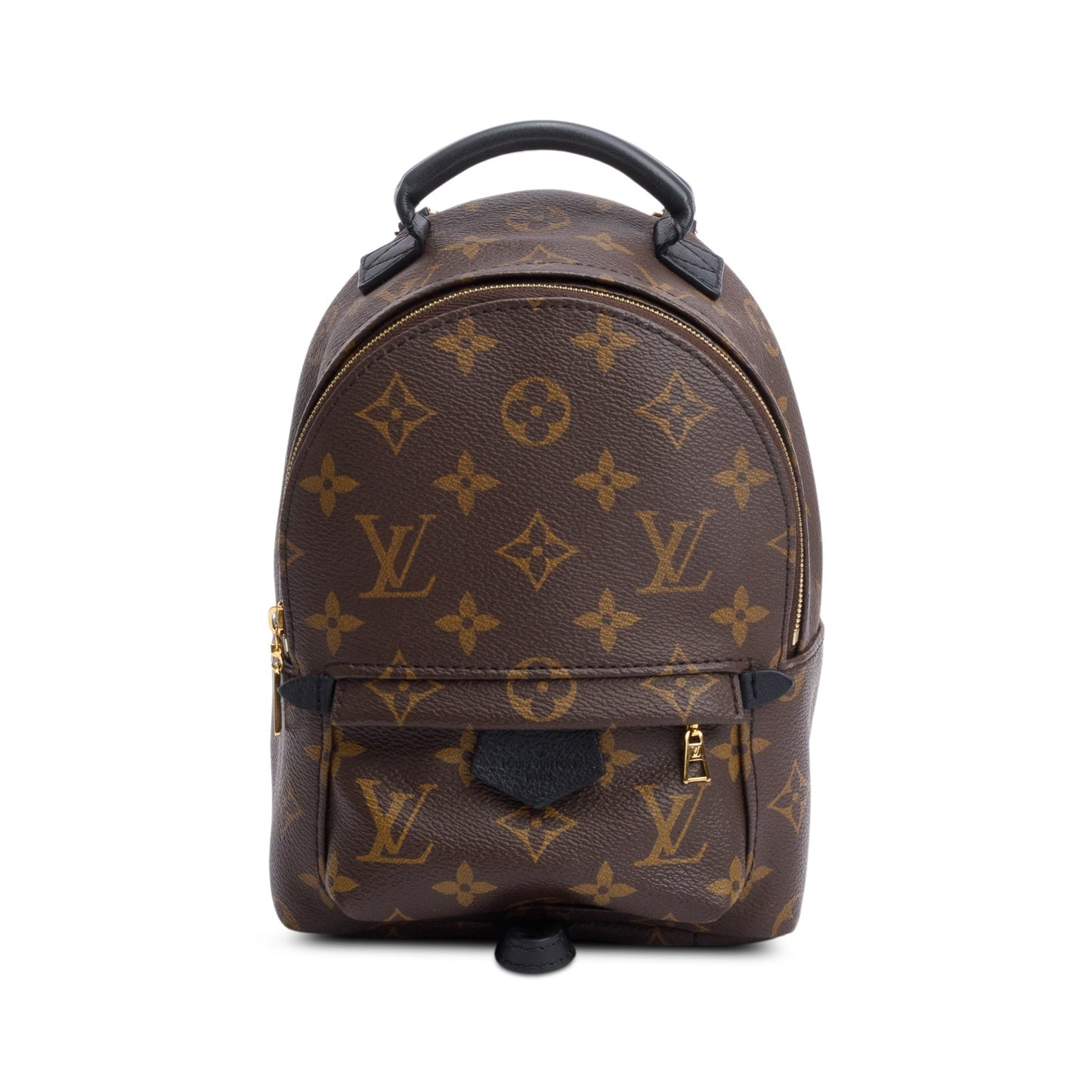 Louis Vuitton Monogram Palm Springs Mini Backpack