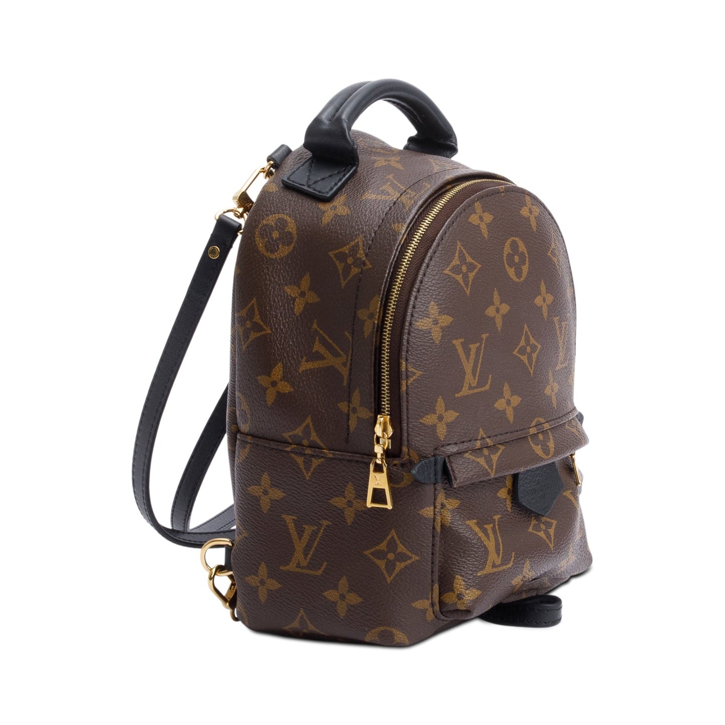 Louis Vuitton Monogram Palm Springs Mini Backpack