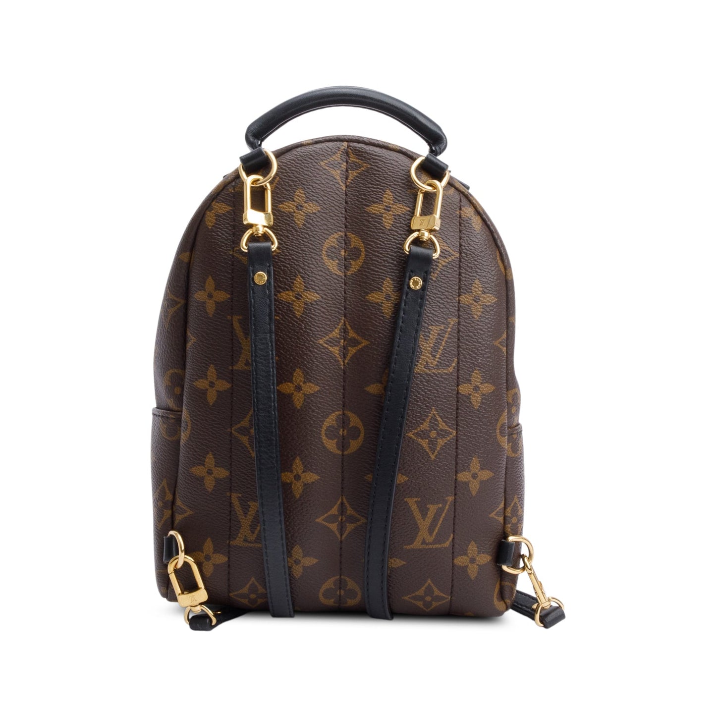 Louis Vuitton Monogram Palm Springs Mini Backpack