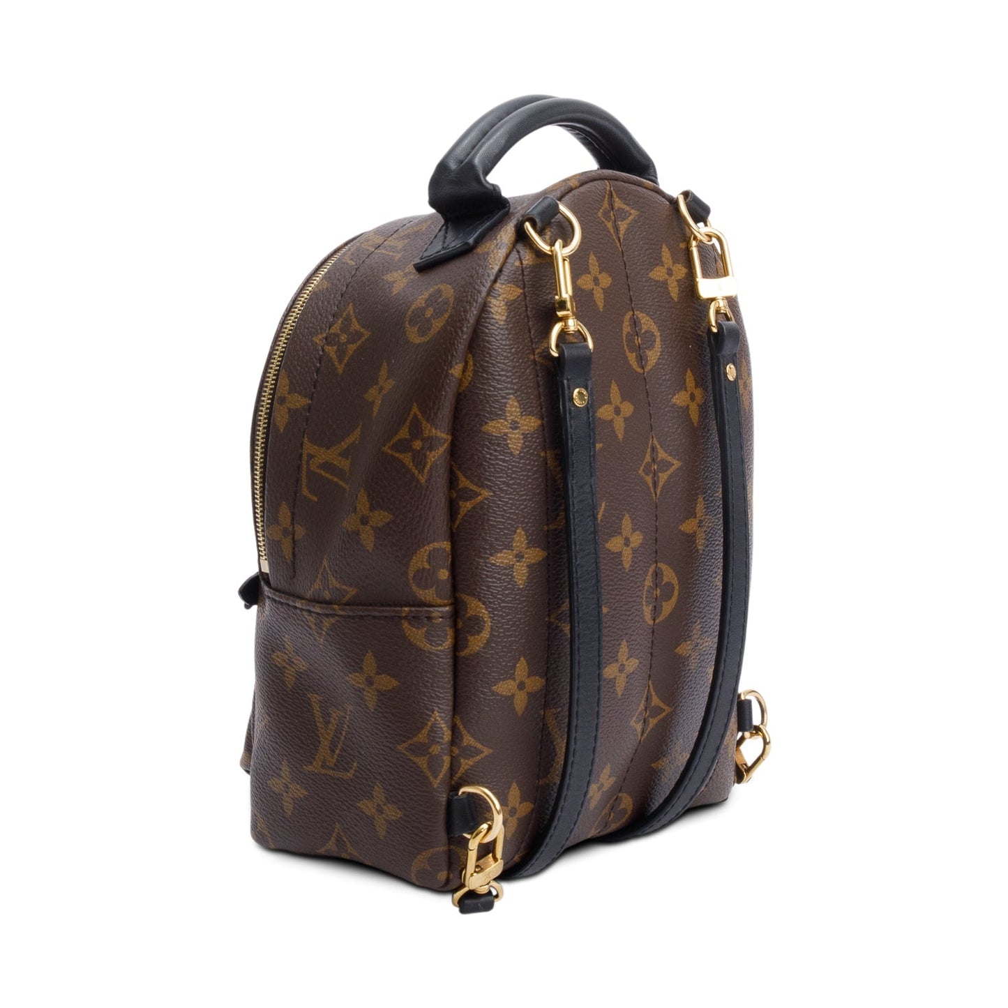 Louis Vuitton Monogram Palm Springs Mini Backpack