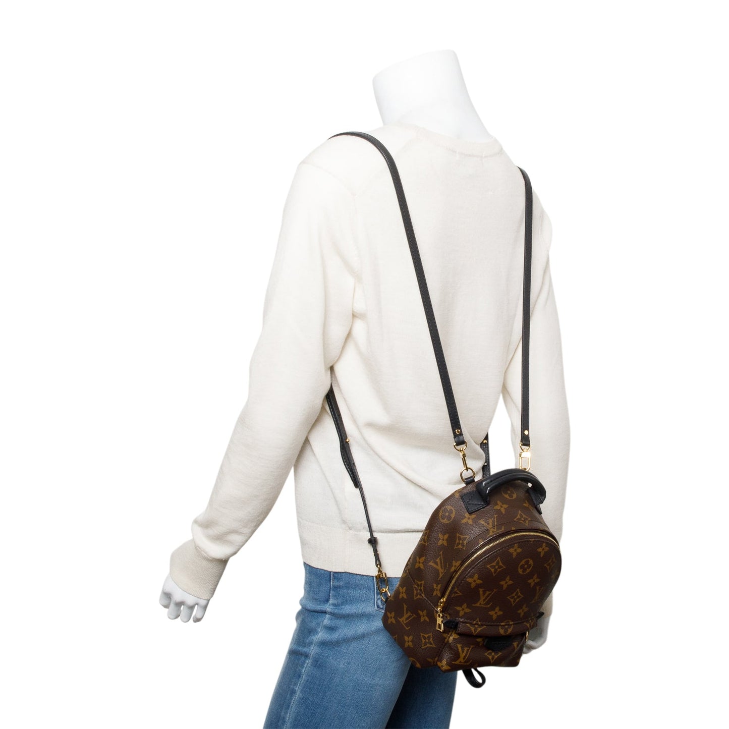 Louis Vuitton Monogram Palm Springs Mini Backpack