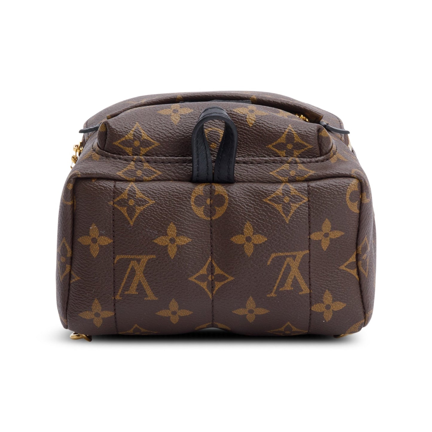 Louis Vuitton Monogram Palm Springs Mini Backpack