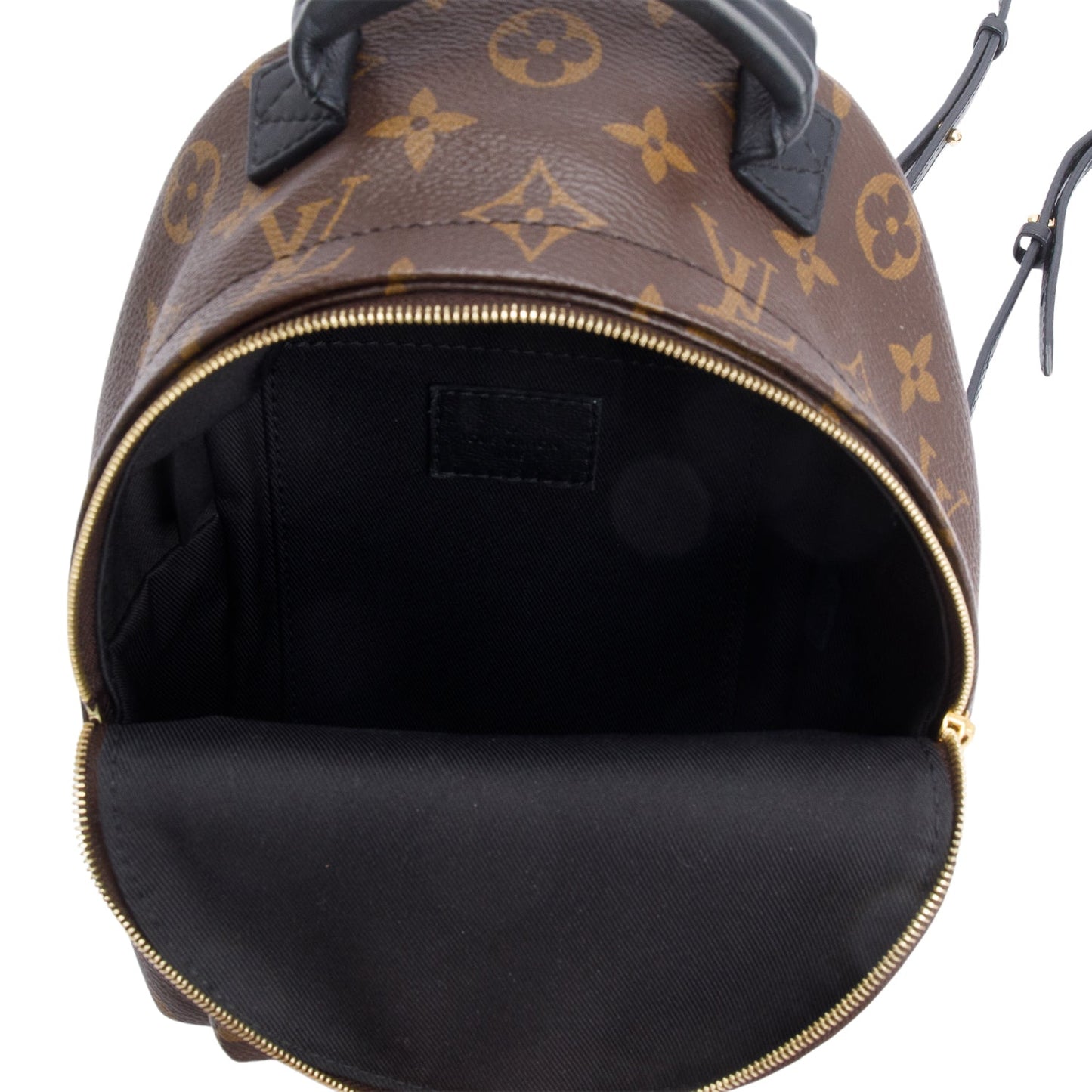 Louis Vuitton Monogram Palm Springs Mini Backpack