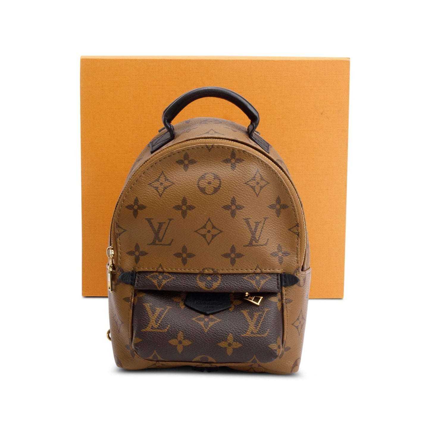 Louis Vuitton Monogram Reverse Palm Springs Mini Backpack