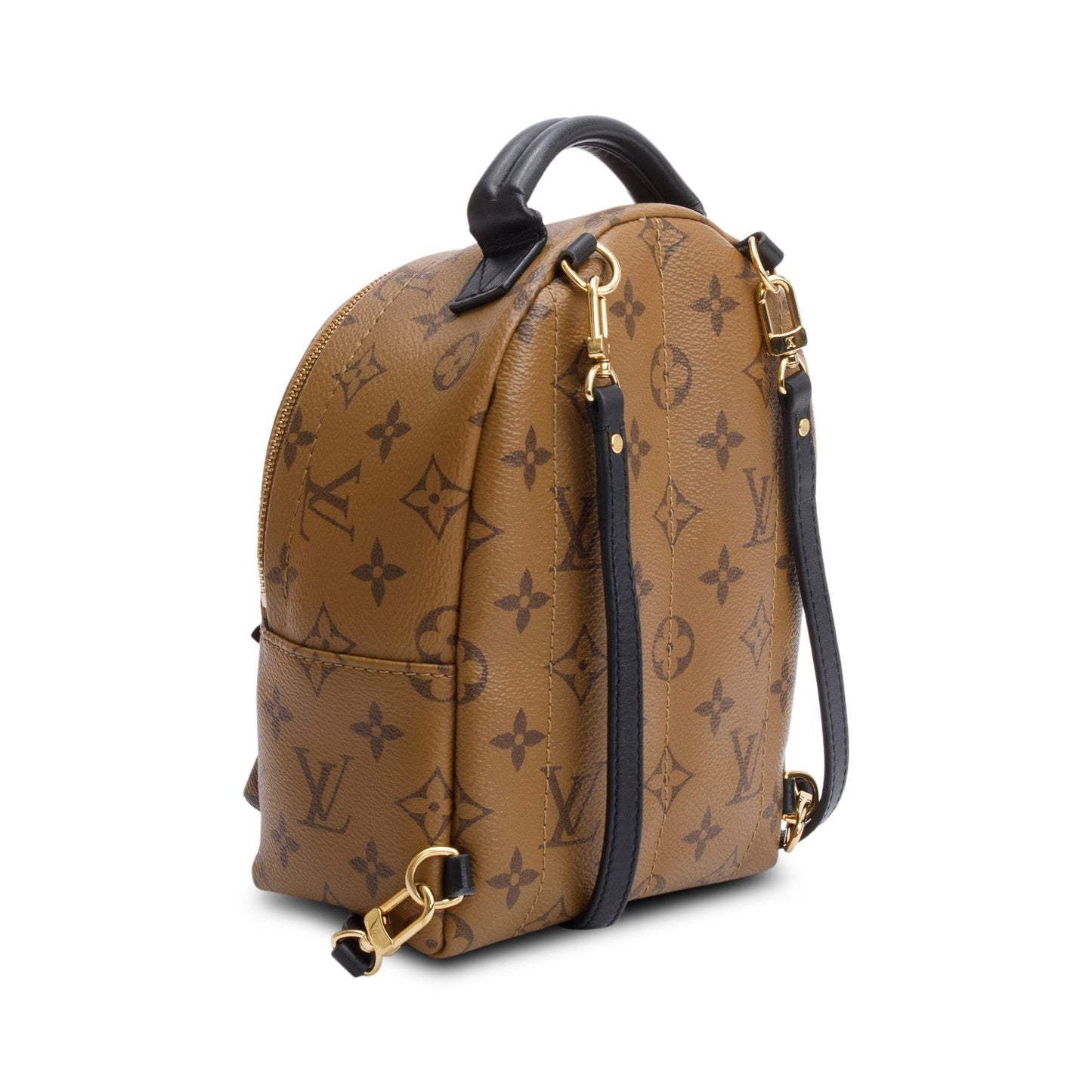 Louis Vuitton Monogram Reverse Palm Springs Mini Backpack