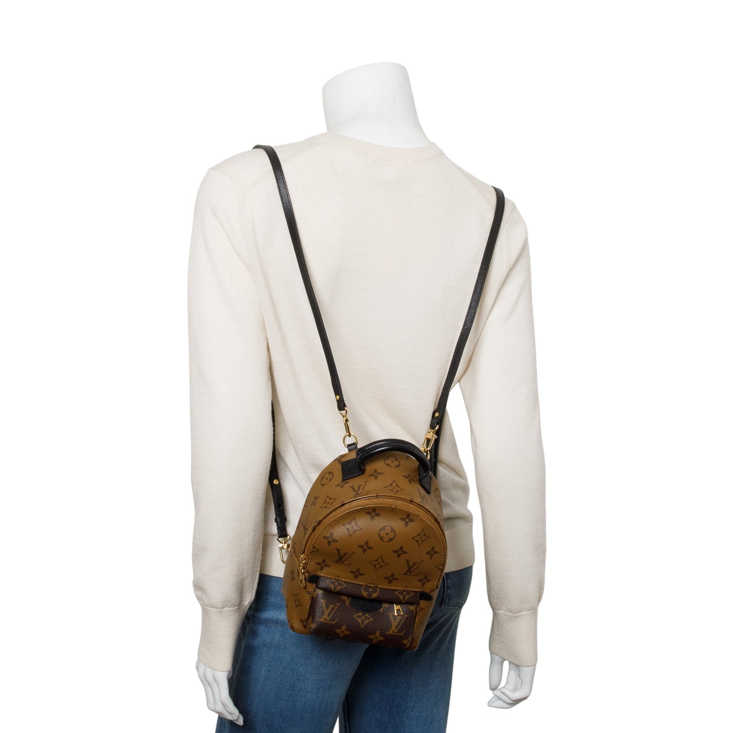 Louis Vuitton Monogram Reverse Palm Springs Mini Backpack