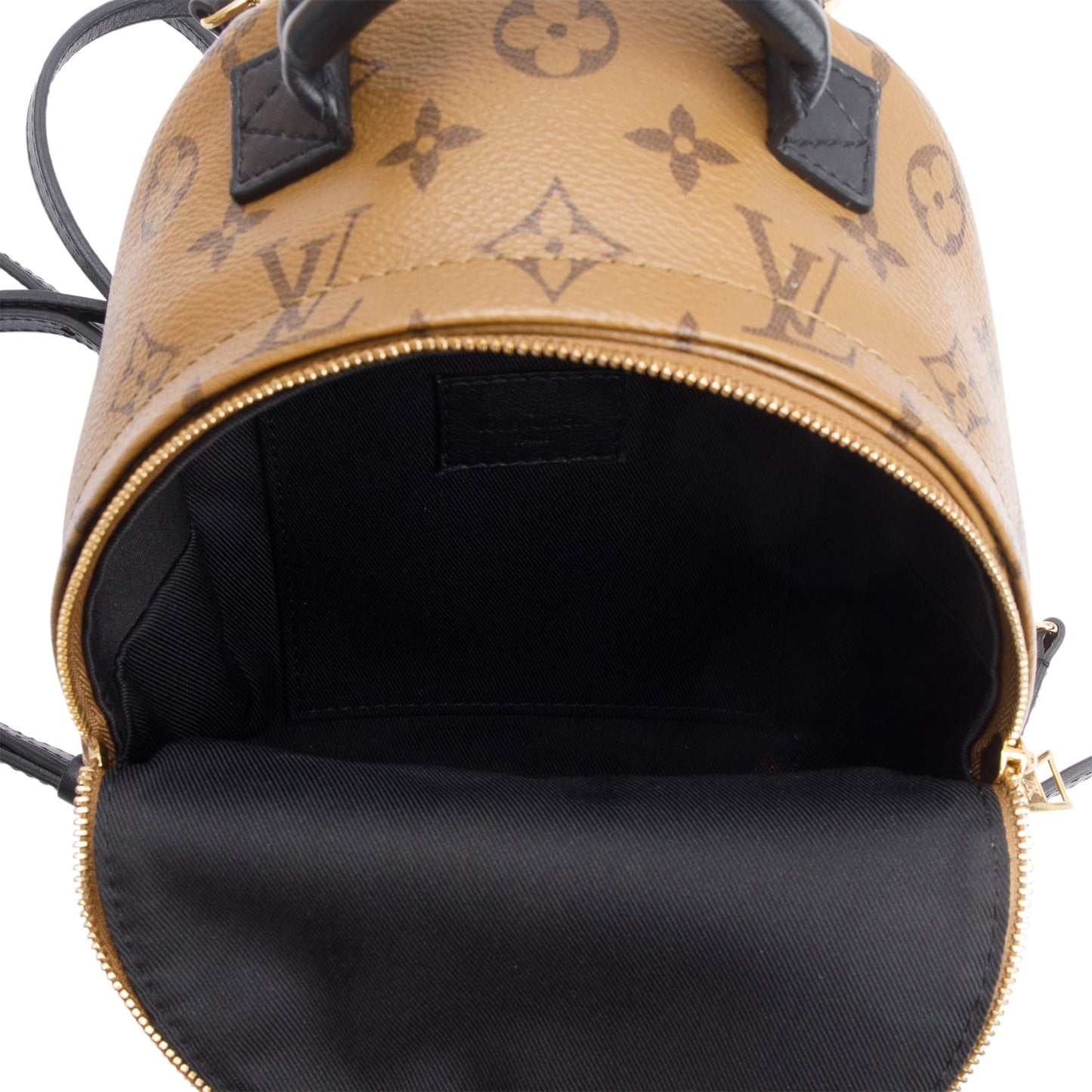 Louis Vuitton Monogram Reverse Palm Springs Mini Backpack