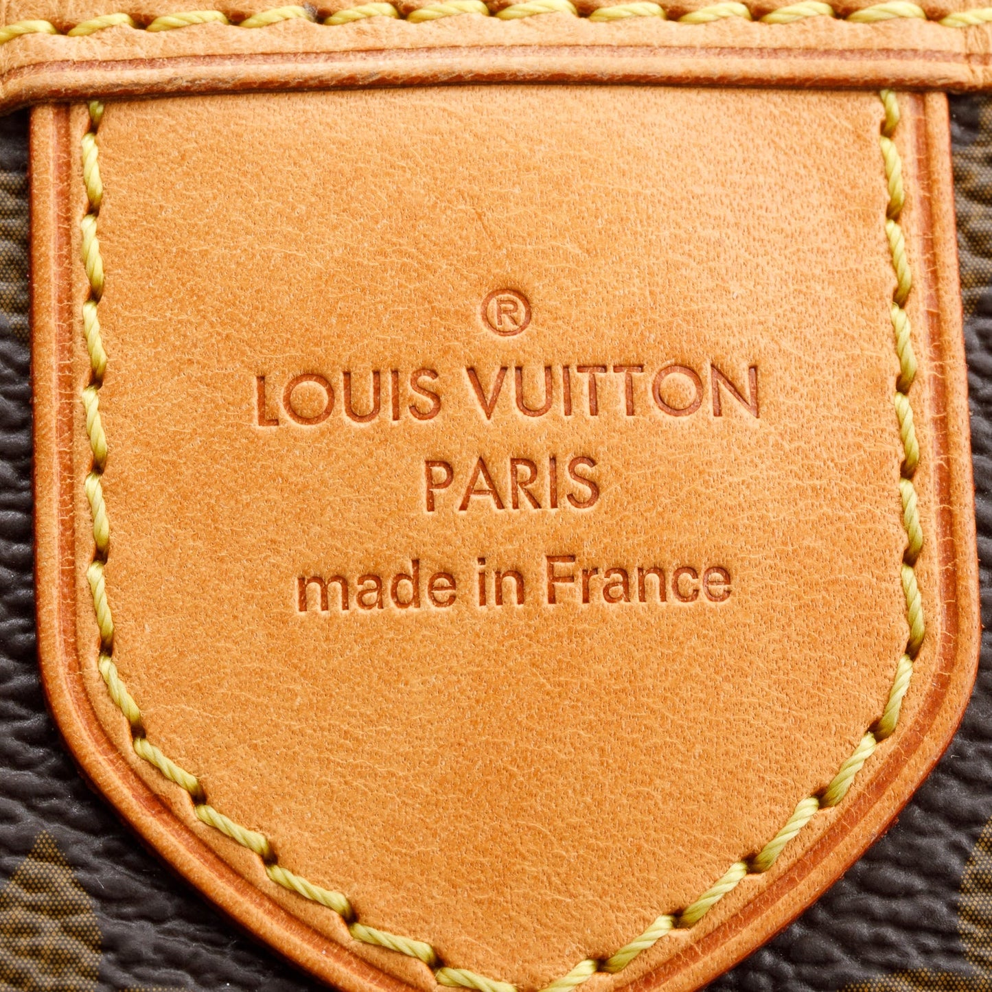 Louis Vuitton Monogram Delightful MM