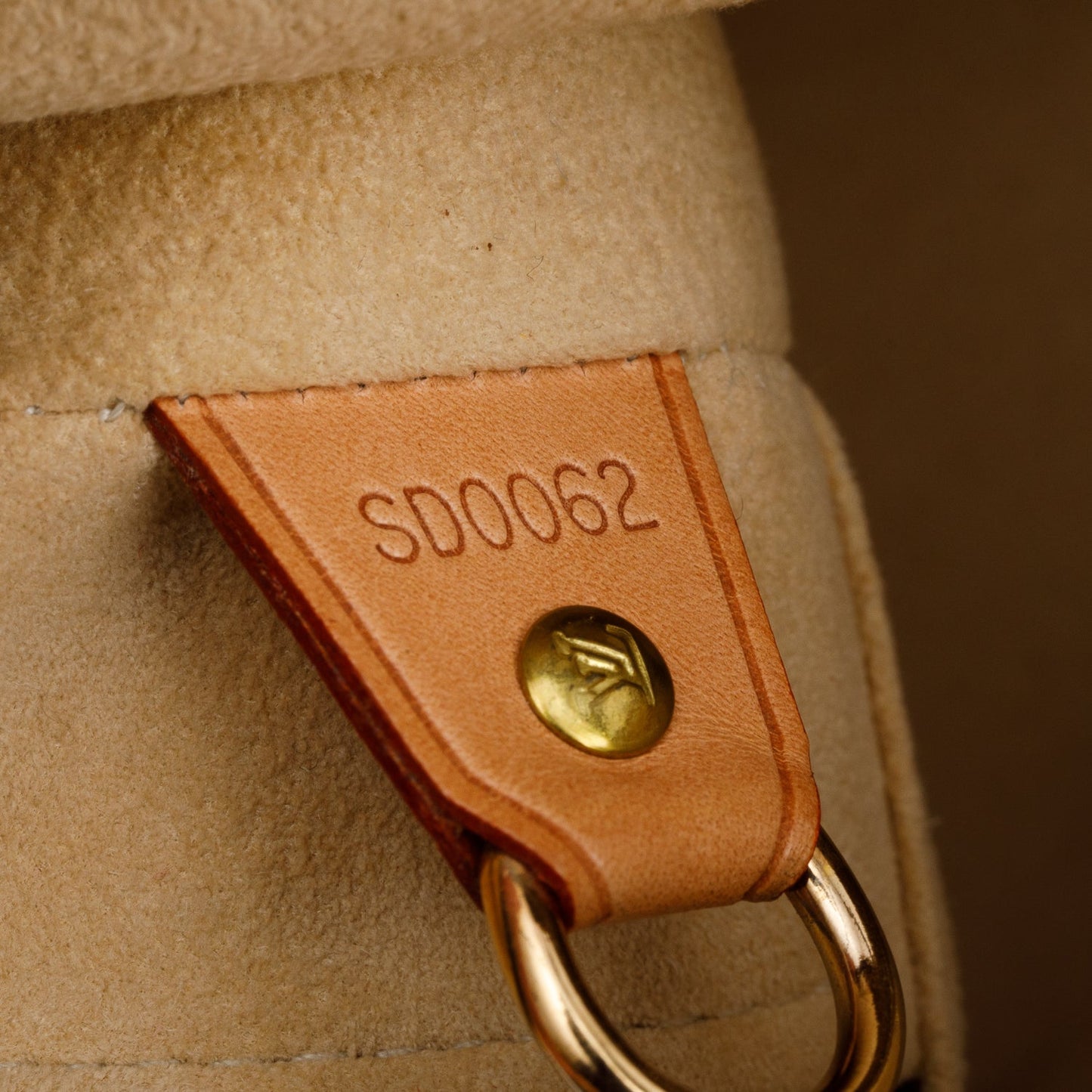 Louis Vuitton Monogram Cite GM