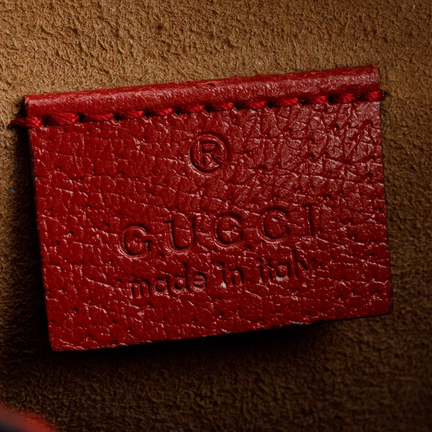 Gucci GG Supreme Tian Small Camera Crossbody Bag