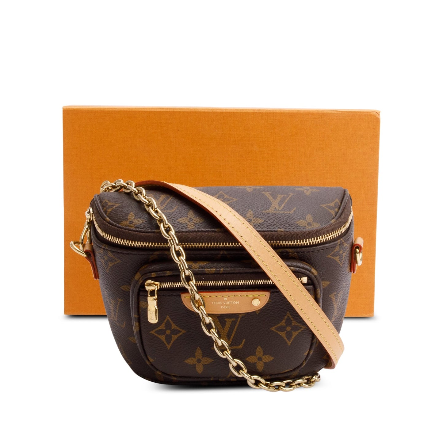 Louis Vuitton Monogram Mini Bumbag