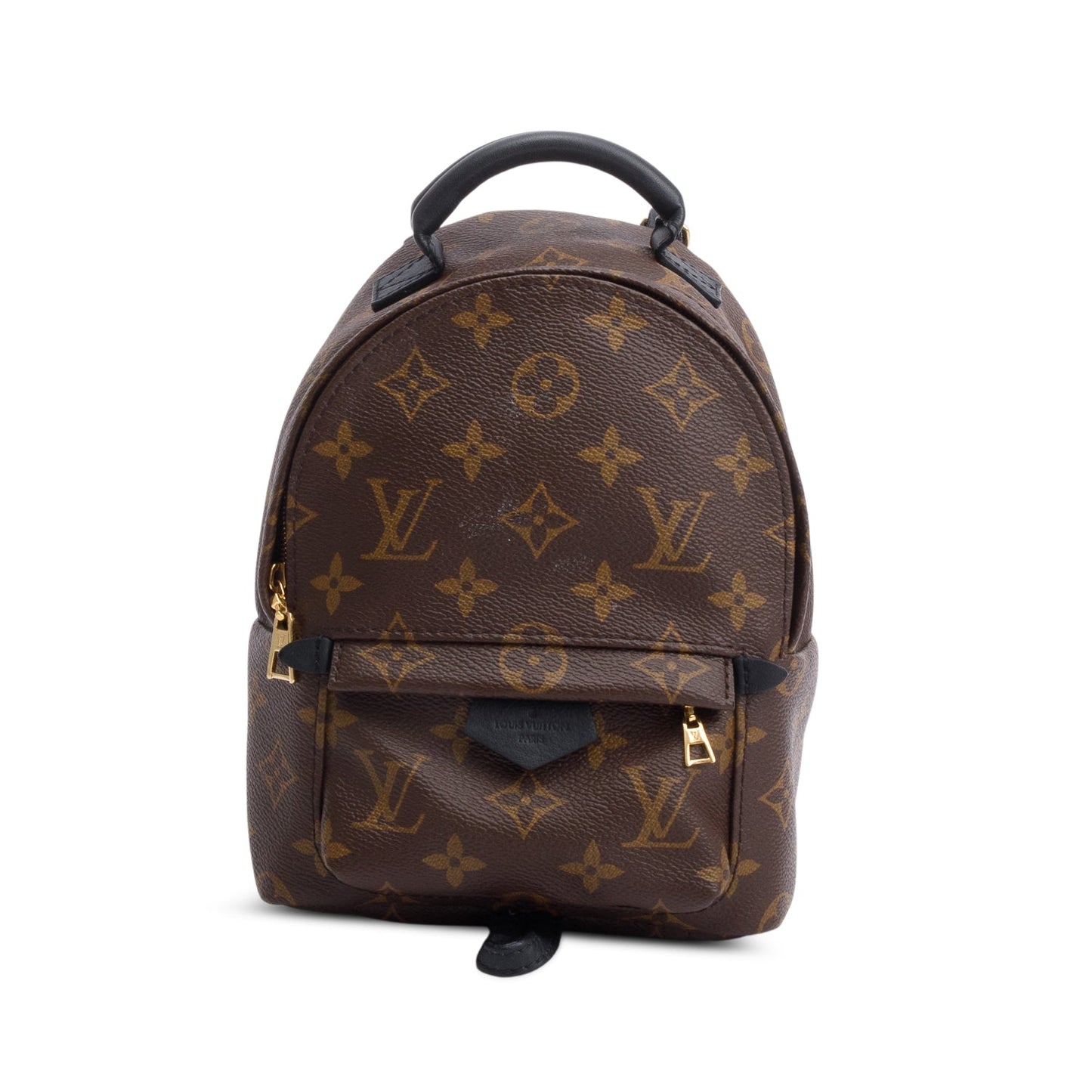 Louis Vuitton Monogram Palm Springs Mini