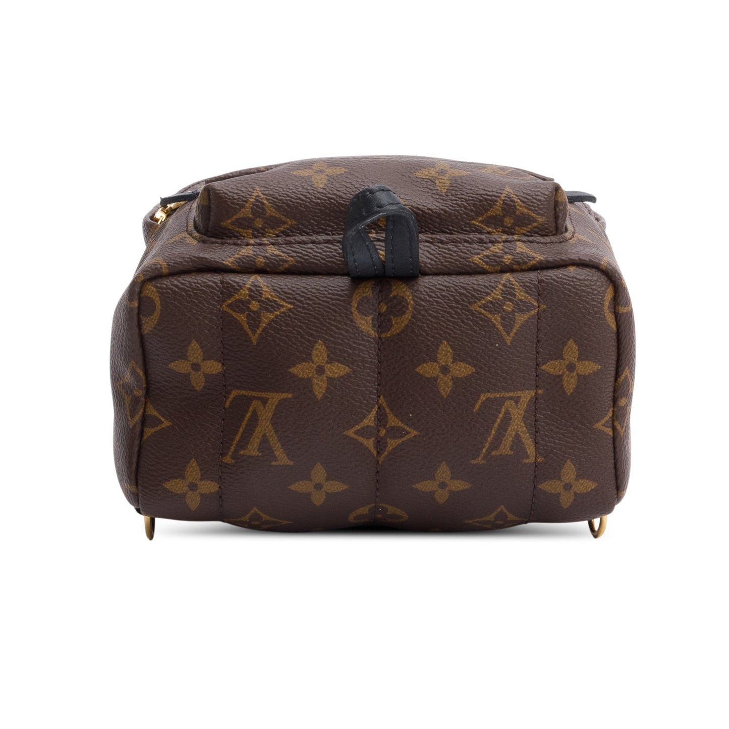 Louis Vuitton Monogram Palm Springs Mini