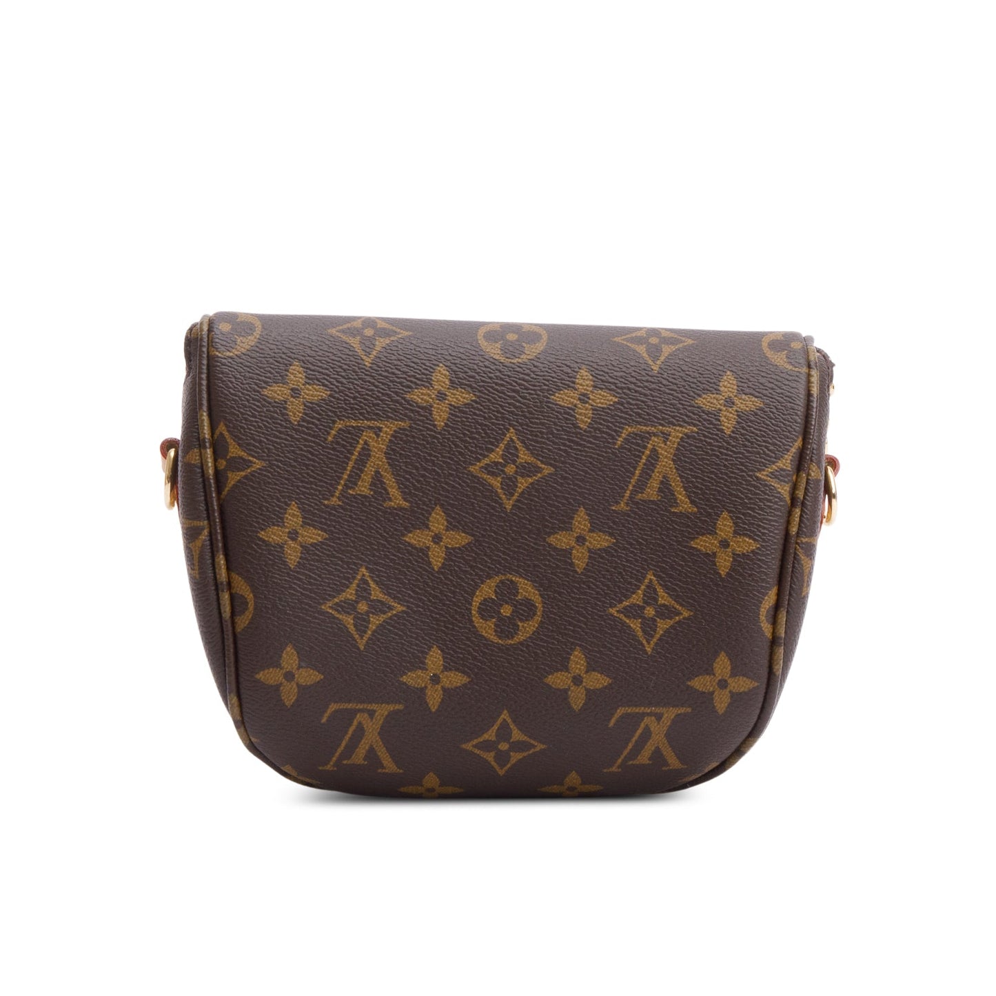 Louis Vuitton Monogram Mini Bumbag