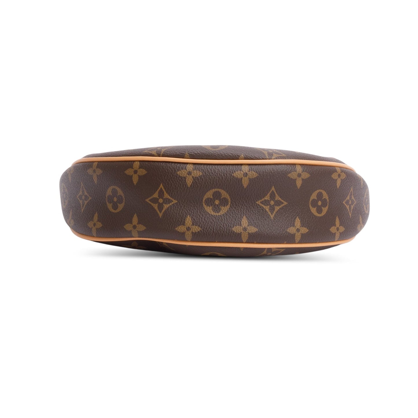 Louis Vuitton Monogram Loop Bag