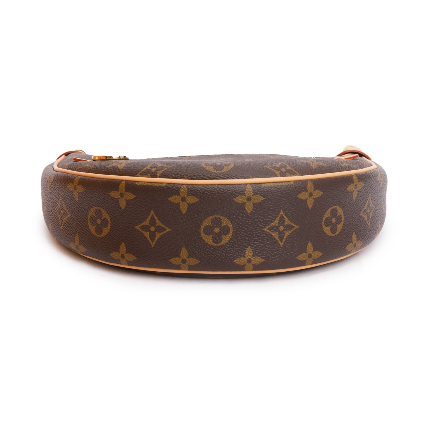 Louis Vuitton Monogram Loop PM Bag
